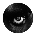 avatar author